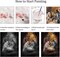 Nativity Scene Paint by Number Kit for Adults Canvas,Christmas Jesus Born Paint by Numbers for Adults Beginners Canvas, Christian Religious Painting by Numbers for Gift Decor - 16x20Inch